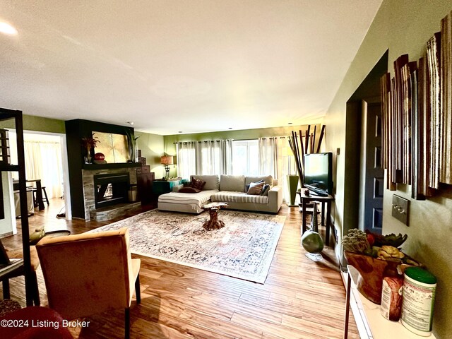 living room featuring a fireplace and light hardwood / wood-style floors