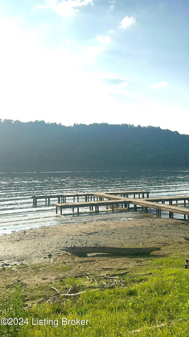 dock area featuring a water view