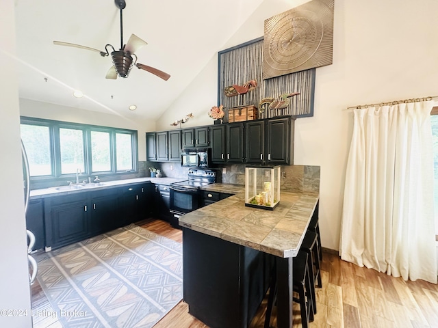 kitchen with sink, light hardwood / wood-style flooring, tasteful backsplash, black appliances, and kitchen peninsula