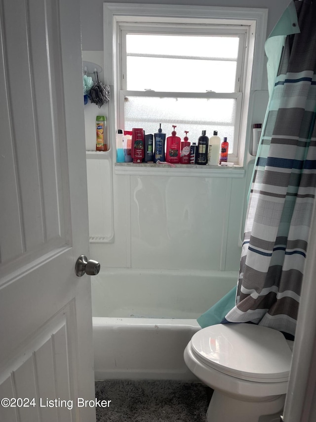 bathroom featuring toilet and plenty of natural light