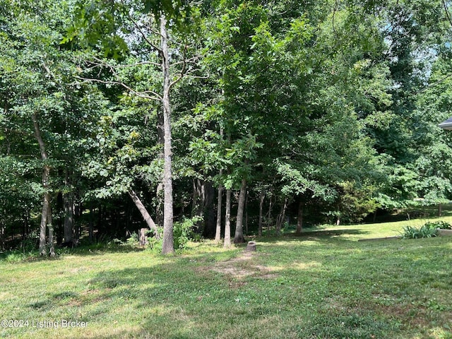 view of nature featuring a forest view