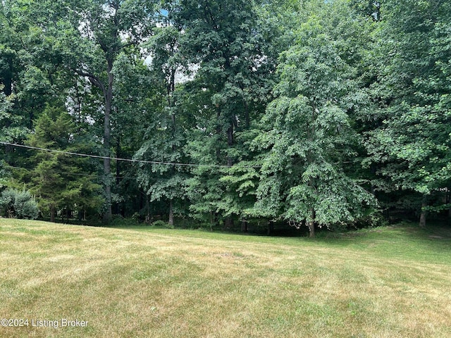 view of yard featuring a view of trees