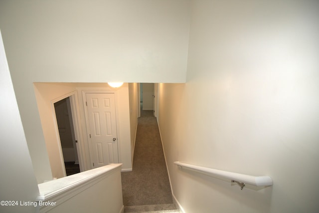 stairs featuring carpet flooring