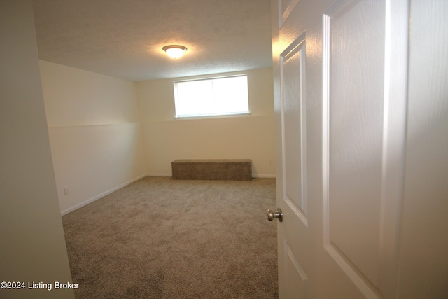 empty room featuring carpet and a textured ceiling