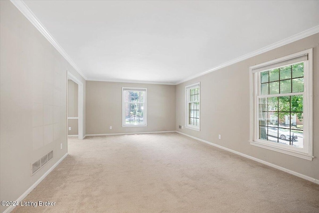 carpeted spare room featuring crown molding