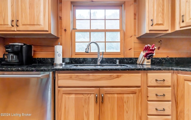 kitchen featuring stainless steel dishwasher, sink, and dark stone countertops