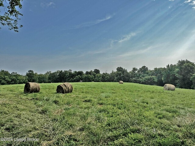 300 Harley Thompson Rd, Shelbyville, KY 40065 - photo 3