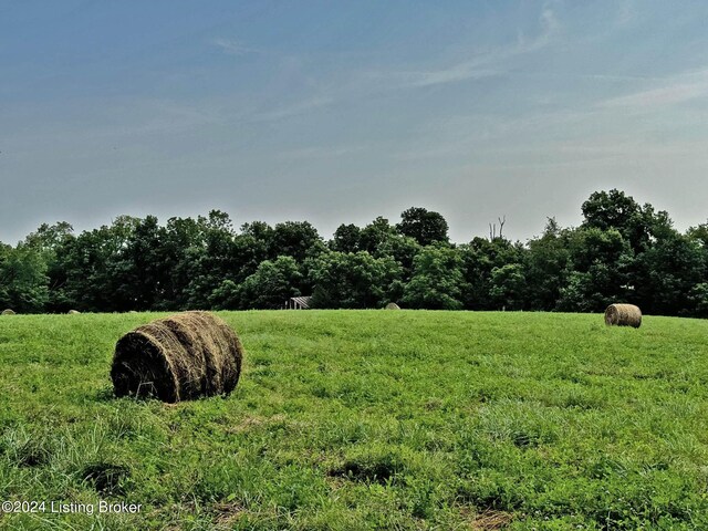 300 Harley Thompson Rd, Shelbyville, KY 40065 - photo 7