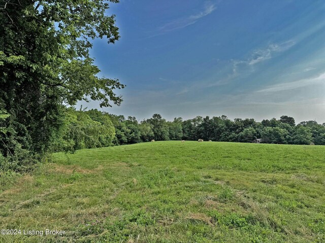 300 Harley Thompson Rd, Shelbyville, KY 40065 - photo 9