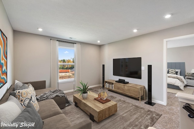 living room with carpet floors