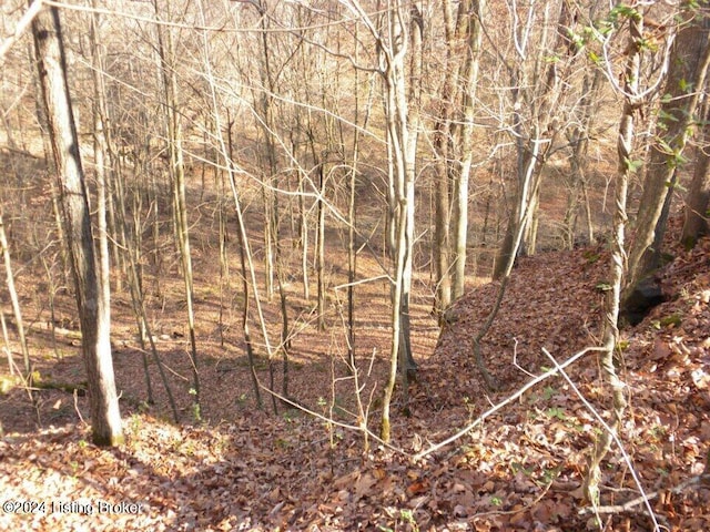 0 Benleo Rd, Bowling Green, KY 42101 - photo 3