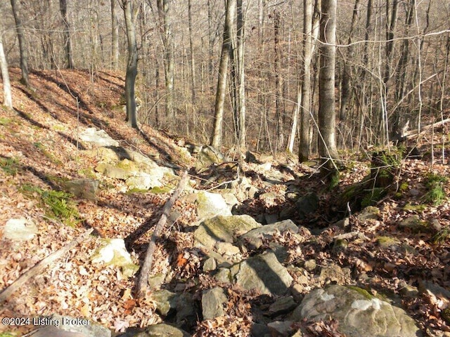 0 Benleo Rd, Bowling Green, KY 42101 - photo 4