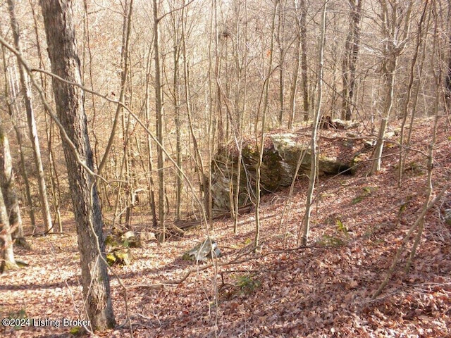 0 Benleo Rd, Bowling Green, KY 42101 - photo 5