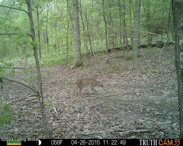 0 Benleo Rd, Bowling Green, KY 42101 - photo 7