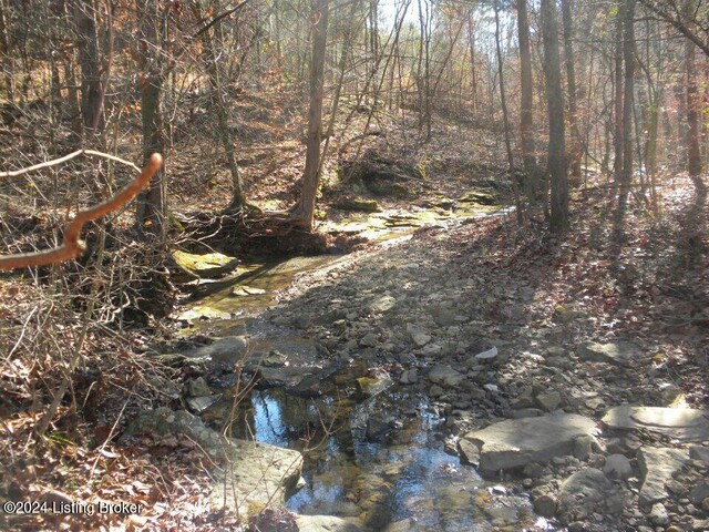 0 Benleo Rd, Bowling Green, KY 42101 - photo 8