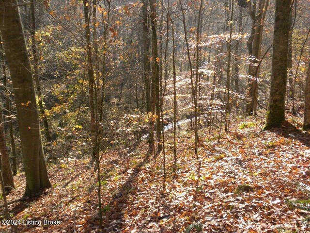 0 Benleo Rd, Bowling Green, KY 42101 - photo 11
