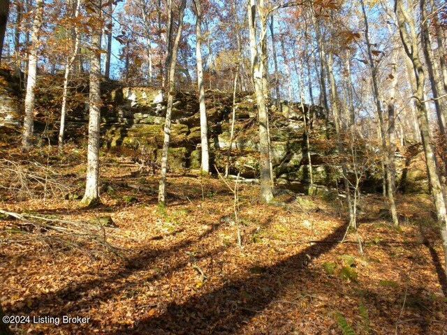 0 Benleo Rd, Bowling Green, KY 42101 - photo 12