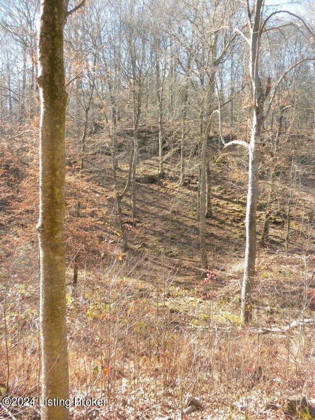 0 Benleo Rd, Bowling Green, KY 42101 - photo 15