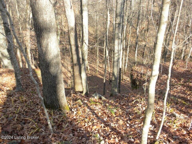 0 Benleo Rd, Bowling Green, KY 42101 - photo 18