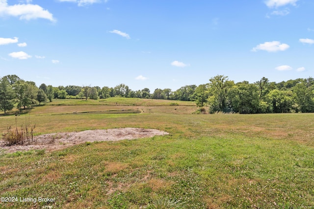 view of yard with a rural view