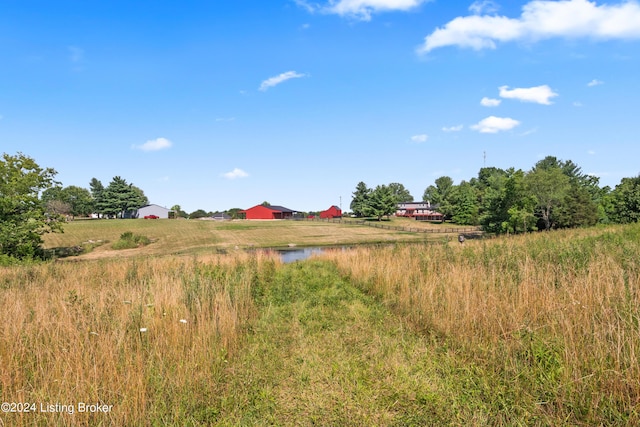 view of yard featuring a rural view