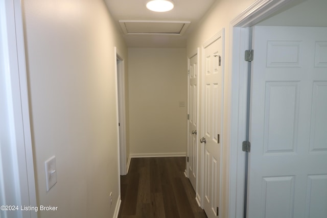 hall featuring dark wood-type flooring