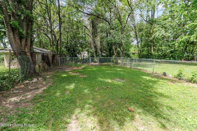 2425 Elliott Ave, Louisville, KY 40211 - view of yard