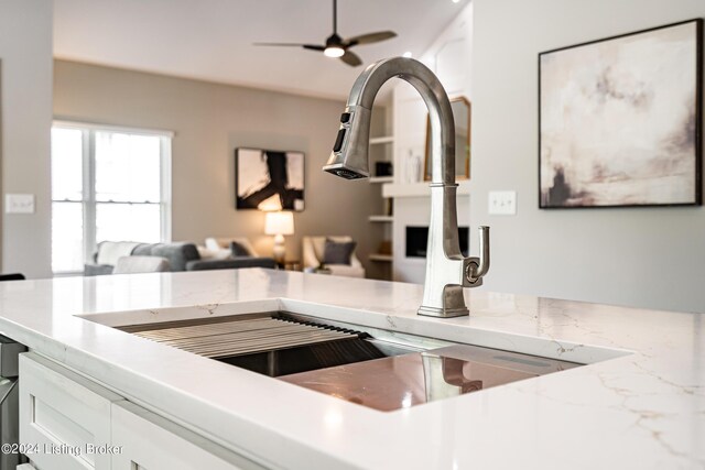 room details featuring light stone countertops, white cabinetry, a ceiling fan, and a sink