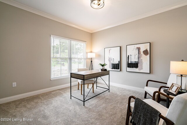 home office with baseboards, crown molding, and carpet flooring