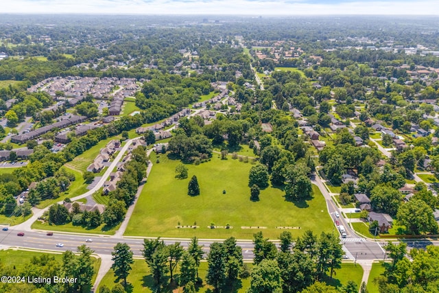 bird's eye view