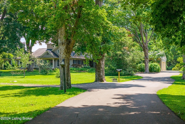 view of home's community featuring a lawn