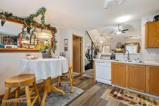 kitchen with dishwasher, sink, ceiling fan, and dark hardwood / wood-style floors