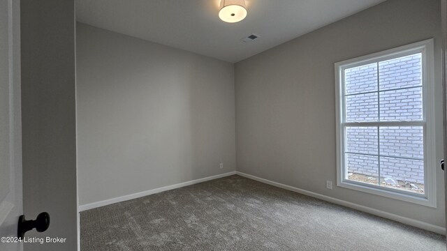 empty room featuring carpet and a healthy amount of sunlight