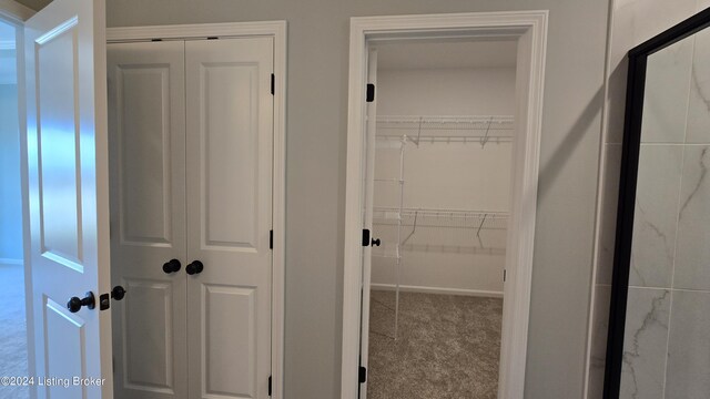 view of closet