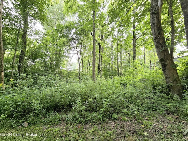 view of landscape featuring a view of trees