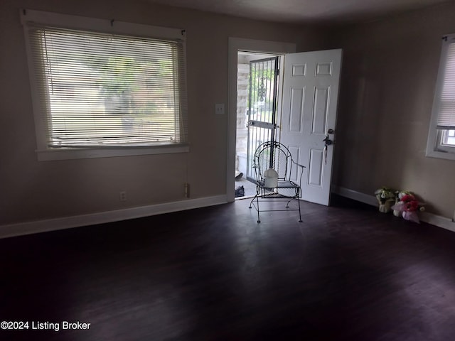 foyer entrance featuring plenty of natural light