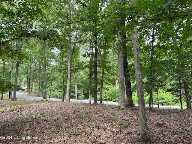 Listing photo 2 for LOT1 Bethel Church Rd, Brandenburg KY 40108