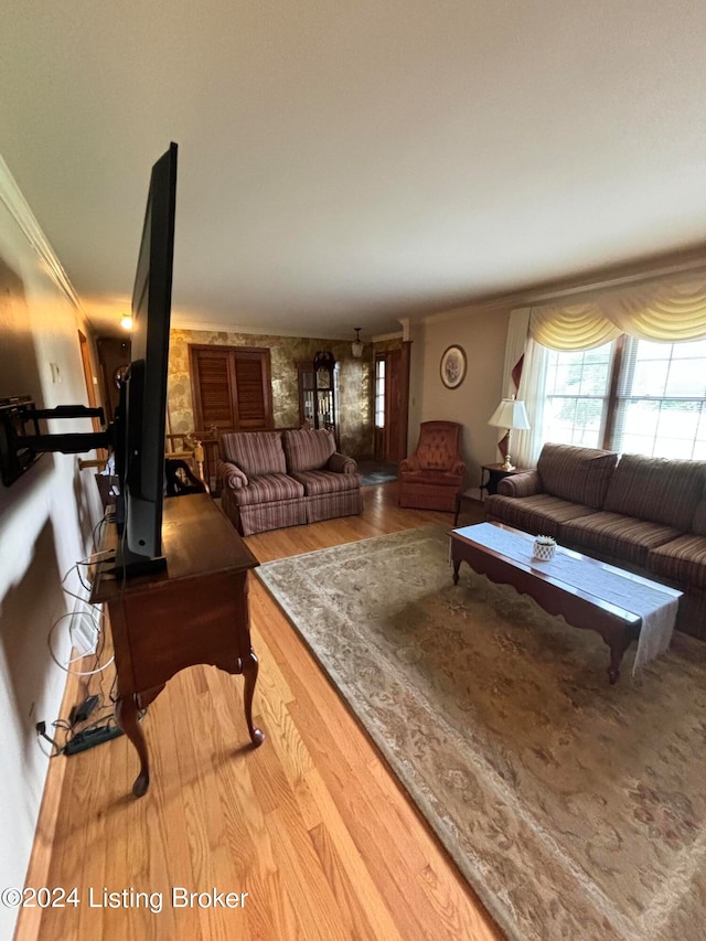 living room with light hardwood / wood-style floors and crown molding