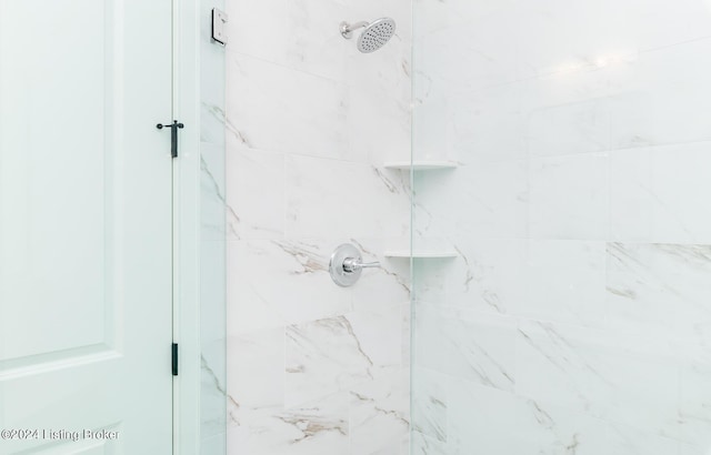 interior details featuring a shower with shower door