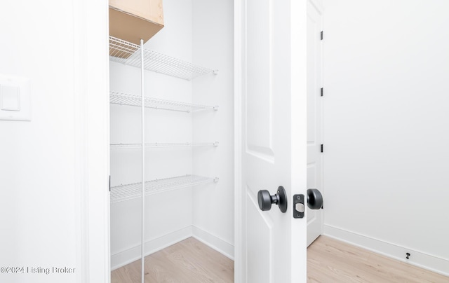 spacious closet featuring light wood-type flooring