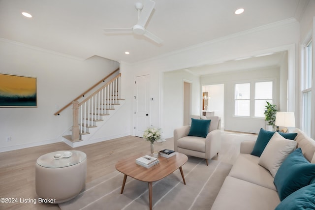 living room with ceiling fan, ornamental molding, and light hardwood / wood-style floors