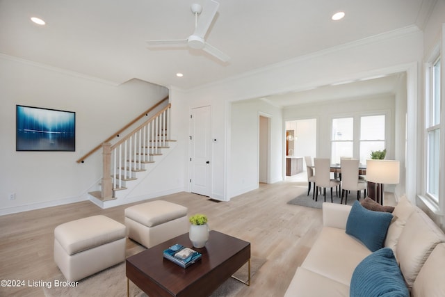 living room with ceiling fan, ornamental molding, and light hardwood / wood-style flooring