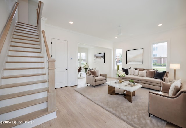 living room featuring ornamental molding, ceiling fan, and light wood-type flooring