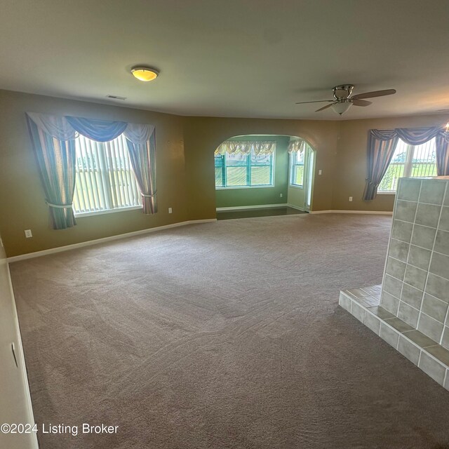 carpeted spare room with ceiling fan and a wealth of natural light