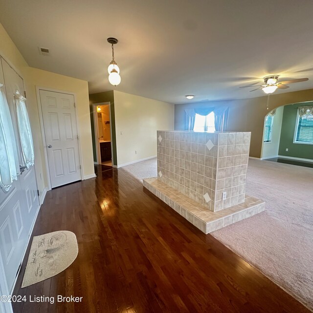 interior space featuring carpet floors and ceiling fan