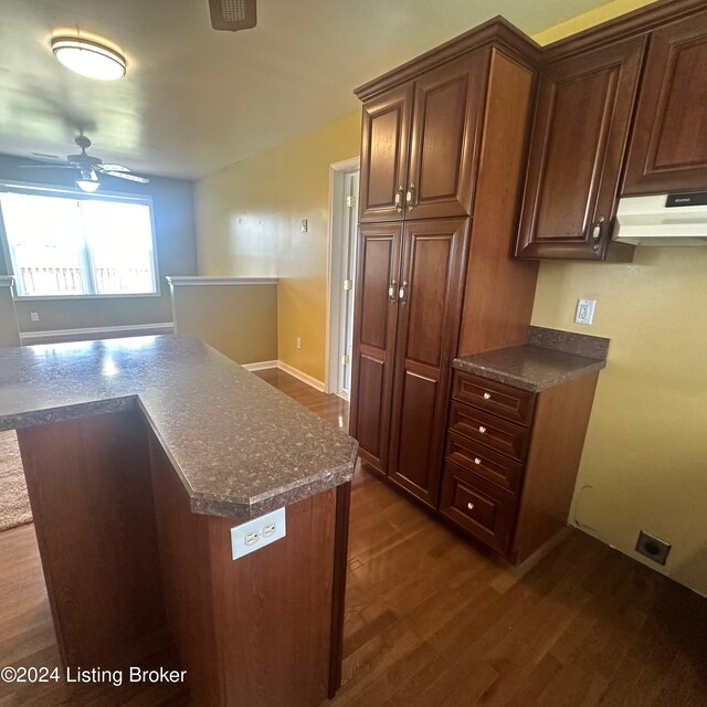 kitchen featuring ceiling fan and dark hardwood / wood-style flooring