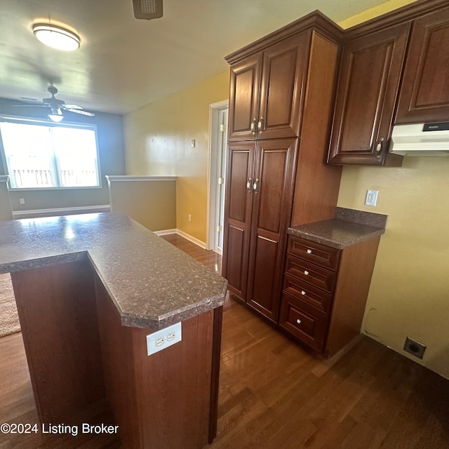 27 Jenkins Rd, Rineyville, KY 40162 - kitchen featuring dark wood finished floors, ceiling fan, dark countertops, and under cabinet range hood