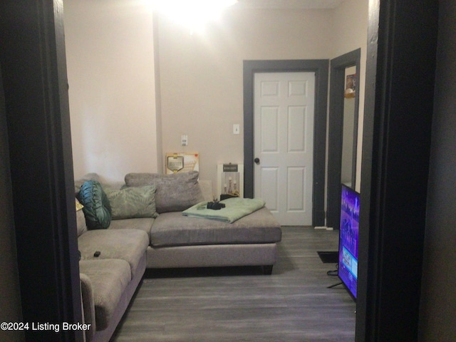 living room featuring dark wood-type flooring