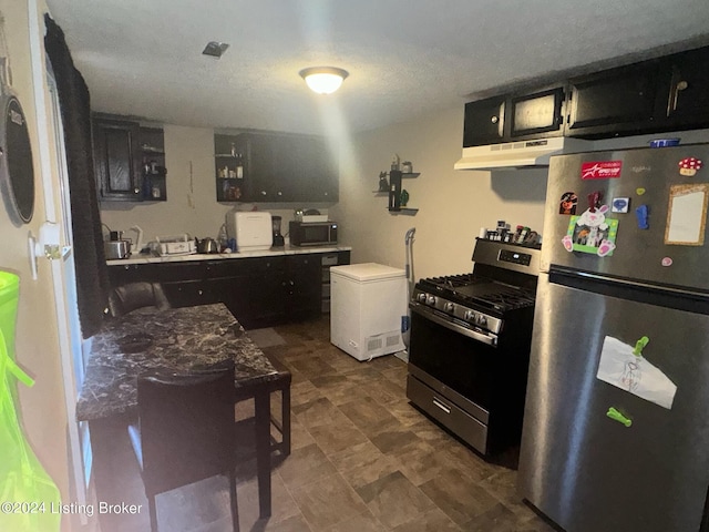 kitchen featuring appliances with stainless steel finishes, dark cabinets, and under cabinet range hood