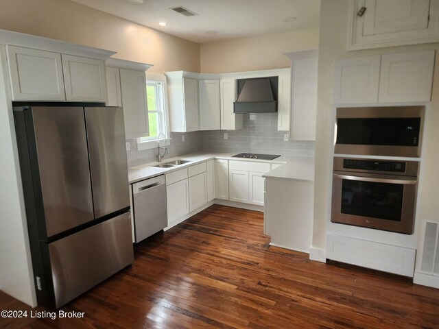 kitchen featuring tasteful backsplash, dark hardwood / wood-style flooring, stainless steel appliances, premium range hood, and sink